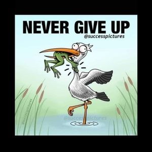 Meet your Posher, Andre